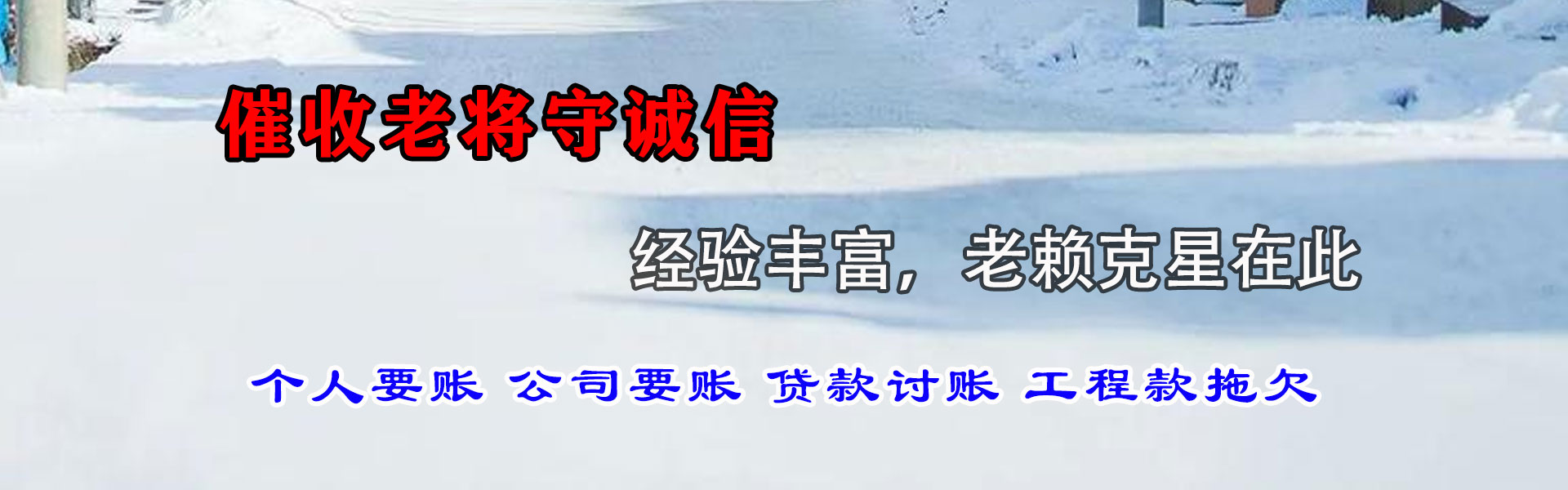 嘉鱼追债公司